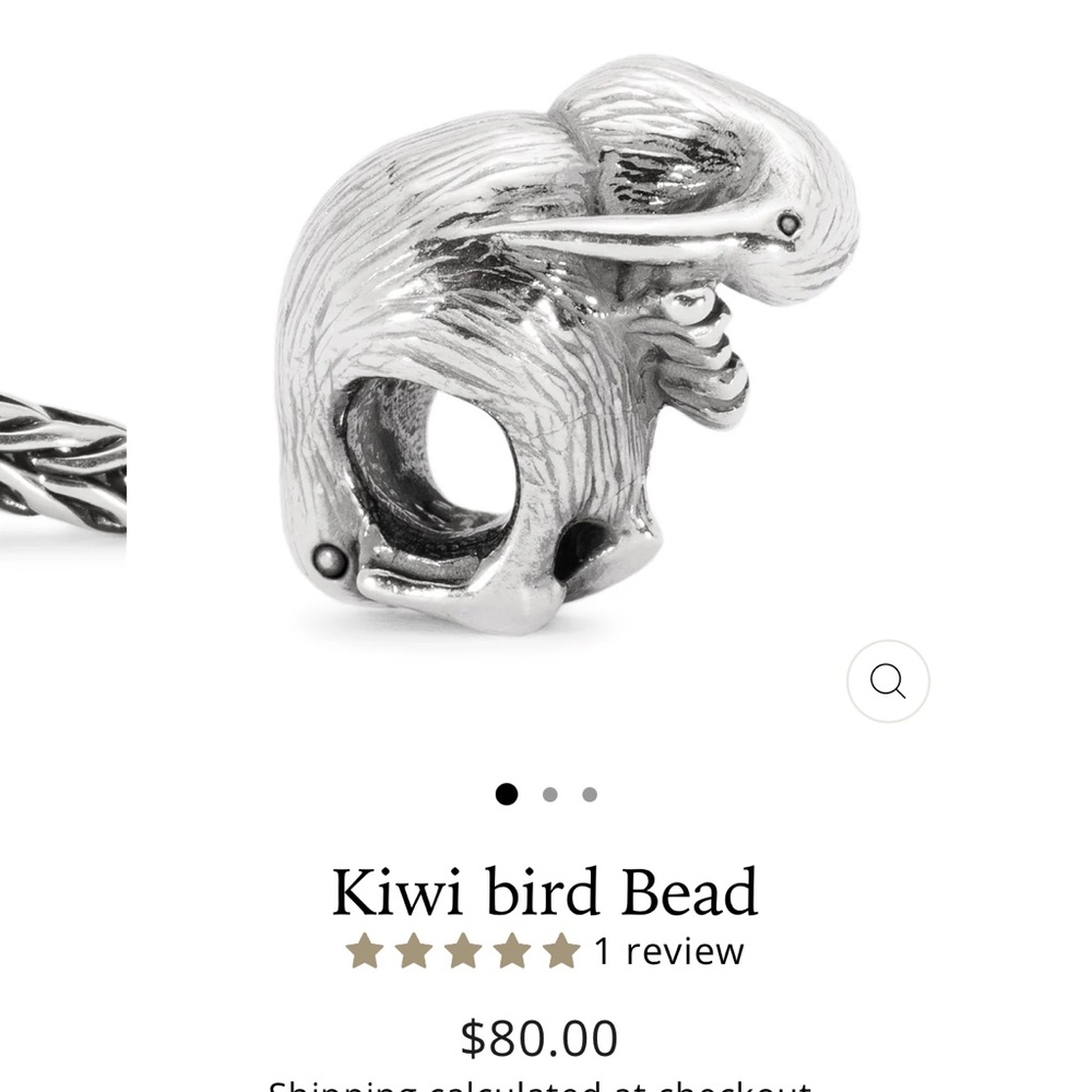Silver Kiwi Bird Charm Bead Bracelet Necklace Pendant Animal New Zealand